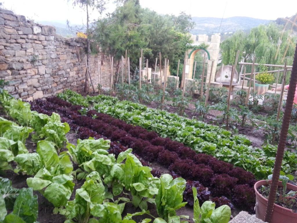 Las Bodegas De Claveria El Humo de Muro Ngoại thất bức ảnh